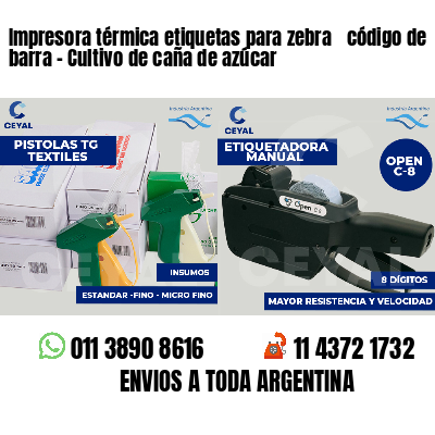 Impresora térmica etiquetas para zebra  código de barra - Cultivo de caña de azúcar